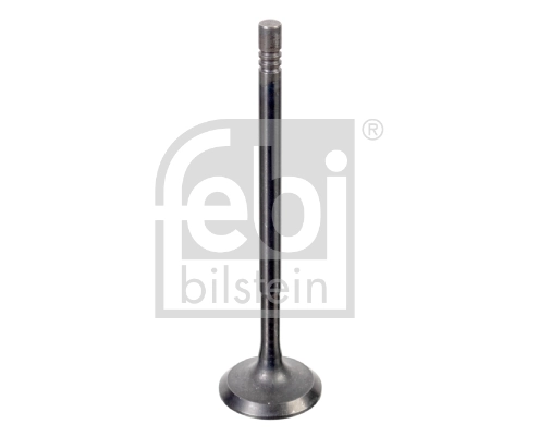 Intake Valve
